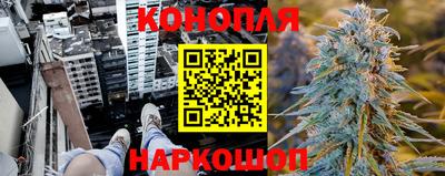 spice Дубна