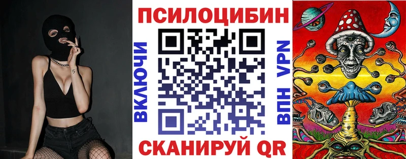 закладки  Лесной  Псилоцибиновые грибы Psilocybine cubensis 