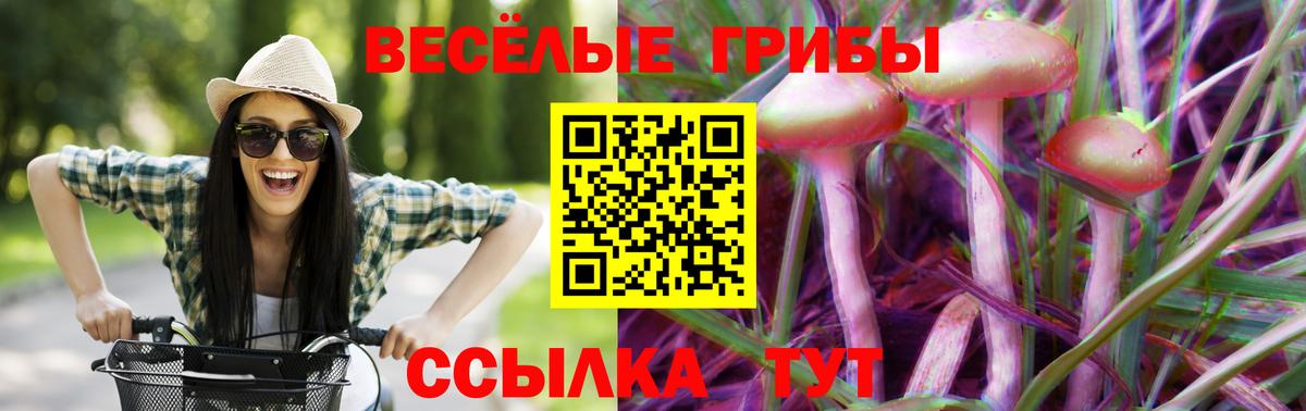 Псилоцибиновые грибы прущие грибы Лесной